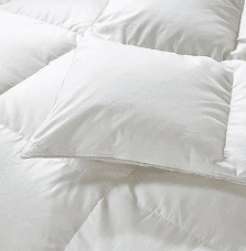 Luxurious hotel duvet inner 50% goose down 50% goose feather