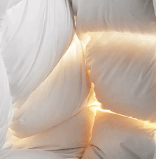 Luxurious cotton 280T down proof 70%/30 down feather hotel goose comforter
