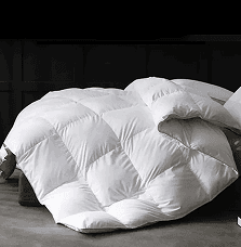 Pure white cotton hotel down comforter 70% down 30% feather