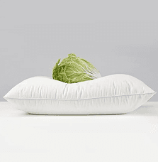 Cotton 233T percale shell 50% white duck down feather pillows for hotel
